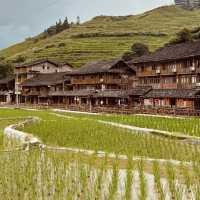 Longji Rice Terraces: A Solo Traveler’s Journey Through China’s Dragon Spine Mountains"** 🐉🌾