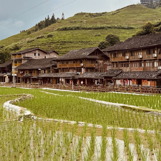 Longji Rice Terraces: A Solo Traveler’s Journey Through China’s Dragon Spine Mountains"** 🐉🌾