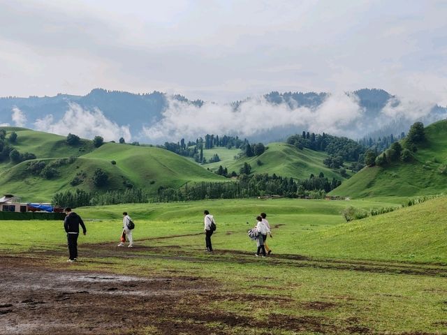 Wusun Historical Site: Echoes of a Millennium on the Grasslands  