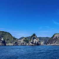 Irozaki Sightseeing Boat: A Solo Adventure Along Shizuoka’s Dramatic Coastline"** 🌊⛵  