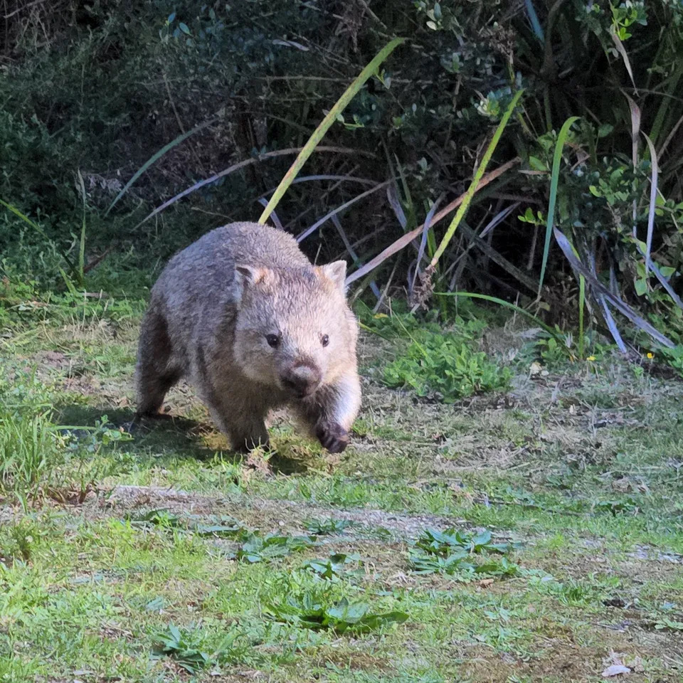This is the most worth visiting national park in Australia