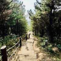 The Ultimate Vantage Point for Seongsan Ilchulbong and Udo Island