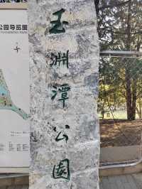Yuyuantan Park Cherry Blossoms – Beijing’s Most Romantic Spring Spectacle