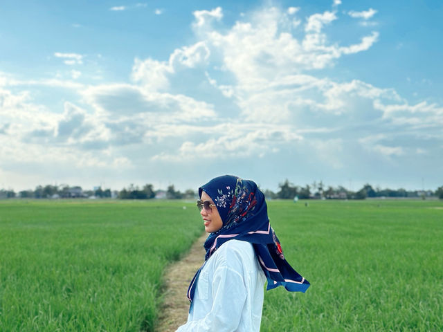 Golden Views in Alor Setar – Where Peace Meets the Padi 🌤️