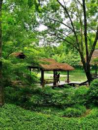Wandering Through West Lake's Emerald Labyrinth
