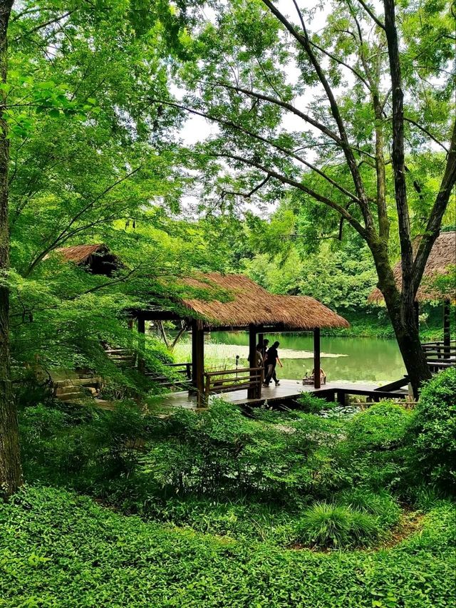 Wandering Through West Lake's Emerald Labyrinth