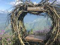 Flower gardens at the Fansipan Cable Car