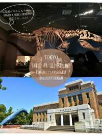 夏休みにもぴったり！また行きたくなる国内博物館🌟