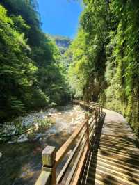 “Zhangjiajie Grand Canyon: A Glass Bridge to Nature’s Wonders”