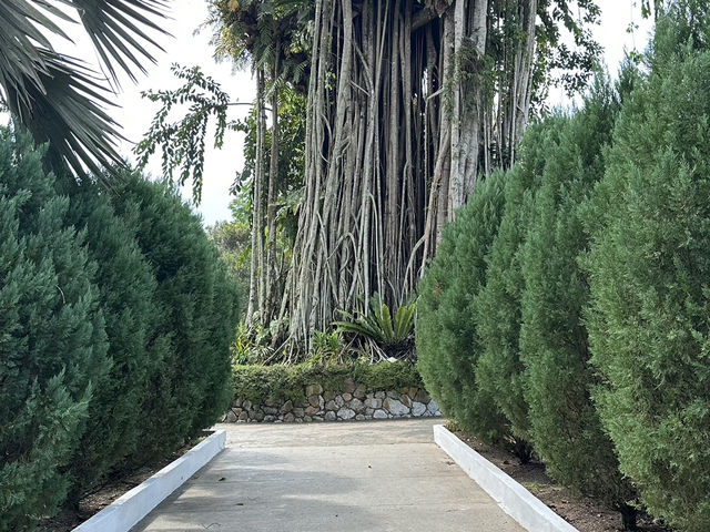 Perdana Botanical Garden – Where Green Isn’t Just a Colour, It’s a Whole Mood 🍃💚