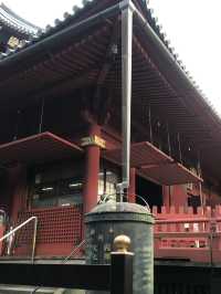 📜【歴史と文化の散歩道】台東区上野・御徒町エリアを歩く|子規・西郷・不忍池・神社