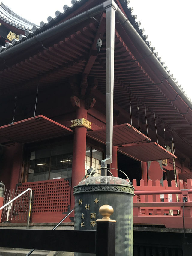 📜【歴史と文化の散歩道】台東区上野・御徒町エリアを歩く|子規・西郷・不忍池・神社 📜【歴史と文化の散歩道】台東区上野・御徒町エリアを歩く|子規・西郷・不忍池・神社