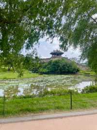 🌿 수원 화성 나들이, 여름에도 좋더라🏯☀️