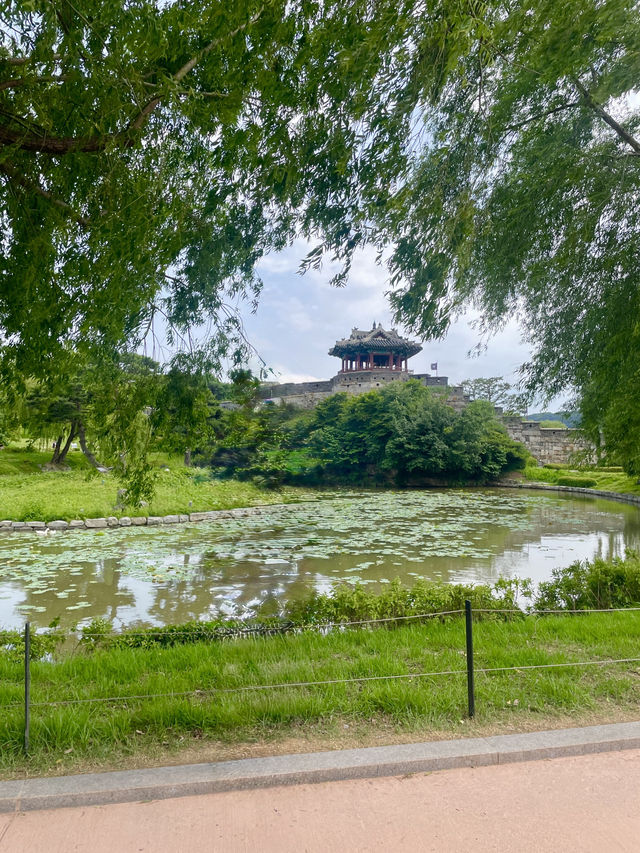 🌿 수원 화성 나들이, 여름에도 좋더라🏯☀️
