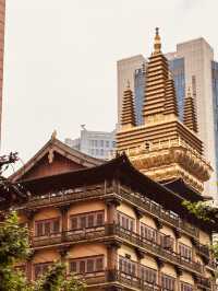 A Photographer's Delight: Juxtaposition of Ancient and Modern Shanghai