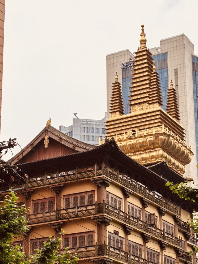 A Photographer's Delight: Juxtaposition of Ancient and Modern Shanghai