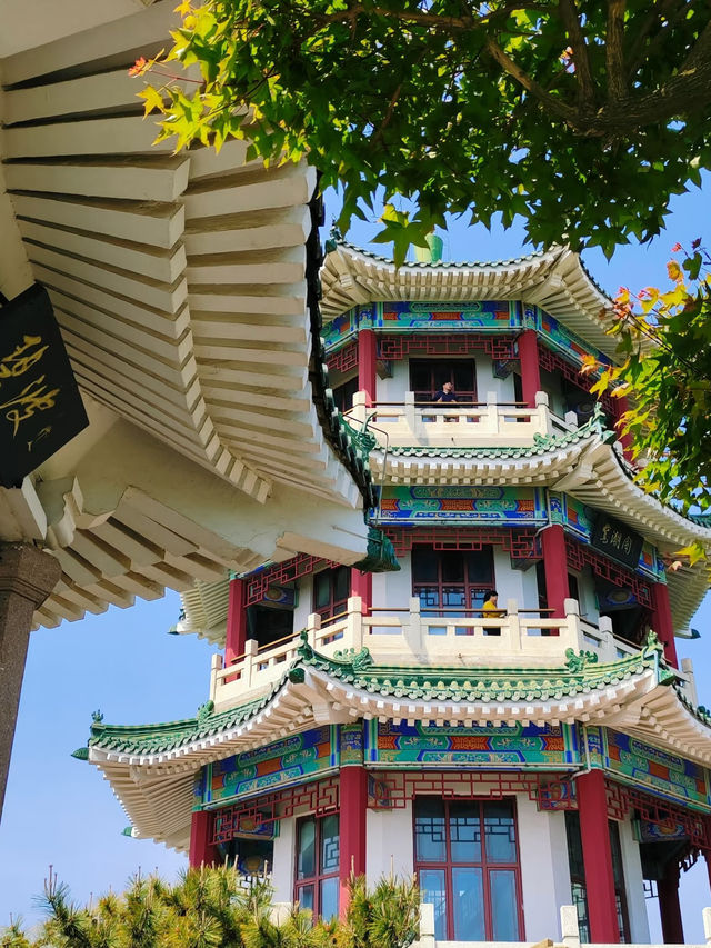 Xiaoyushan Park｜A Hidden Classical Gem Overlooking Qingdao’s Coast