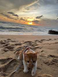 หาดทรายแก้วภูเก็ต