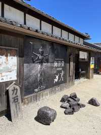 【小豆島】  日本映画、文学のテーマパーク  1500本のひまわり
