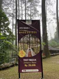 A Thrilling Sensation Crossing the Wood Bridge in Orchid Forest Cikole