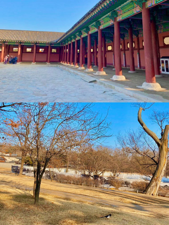 첫 서울 여행, 경복궁과 빨간머리앤 전시회 🏯📚
