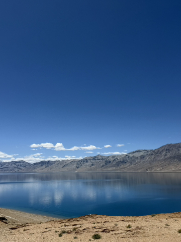 インド・ラダック ツォモリリ湖】標高4,500mに広がる神秘の青 | Trip