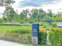 Wetland Wonderdeck – Serenity on the Water