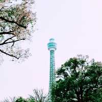 📸✨春の山下公園で横浜マリンタワーと桜、ホテルニューグランドと桜を一緒に撮影できる場所とコツ