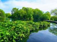 Boggart Hole Clough – Legends and Landscapes