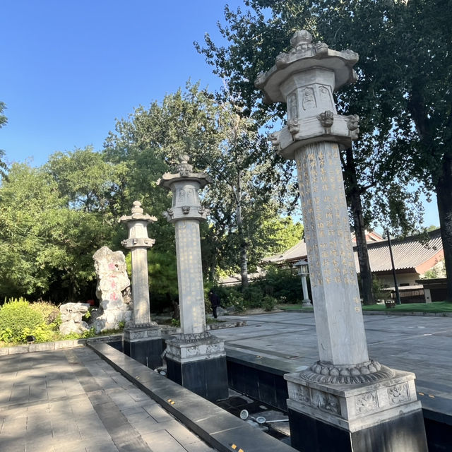 🏛 Da Ci’en Temple Ruins Park 大慈恩寺遗址公园 — Tang Dynasty Echoes in the Modern City
