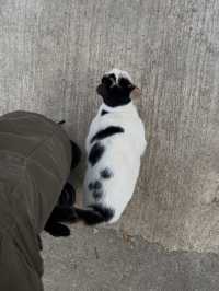 🌿✨ บ้านป่าเหมี้ยง หมู่บ้านเล็ก ๆ ท่ามกลางขุนเขา