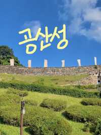 역사와 문화가 살아있는 공주 여행 🌿✨