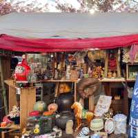 เดินเล่นพาชมบรรยากาศบ่อน้ำชิโนบาสุ 🪷