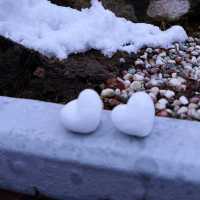雪怪齊聚 ❄️ 冰封地藏王