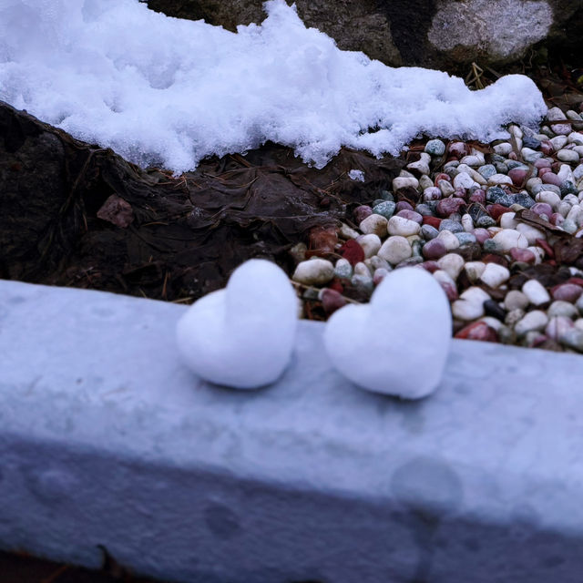 雪怪齊聚 ❄️ 冰封地藏王 雪怪齊聚 ❄️ 冰封地藏王