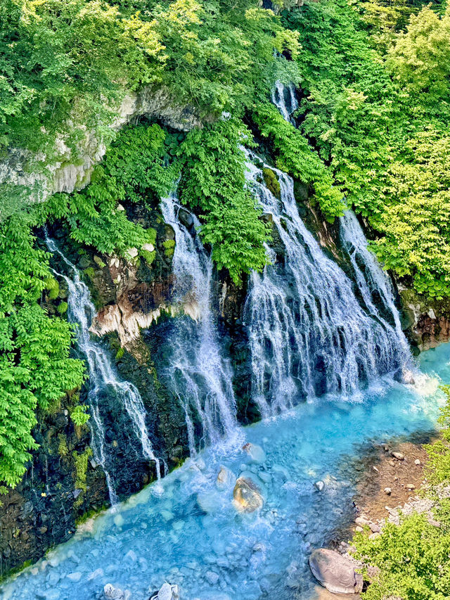 🌿 홋카이도 비에이 & 주변 여행 감성 🏞️💙