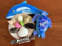 🐢보홀 여행🐬