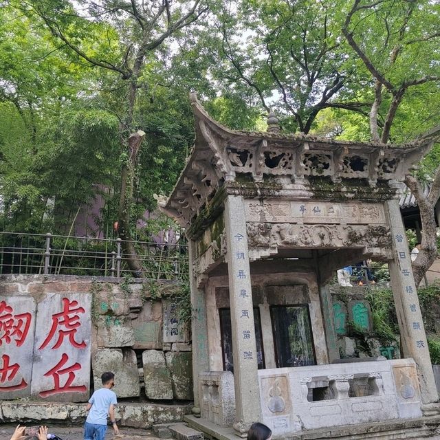 你一句春不晚，我就到了真江南
