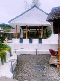 Wojia cafe 