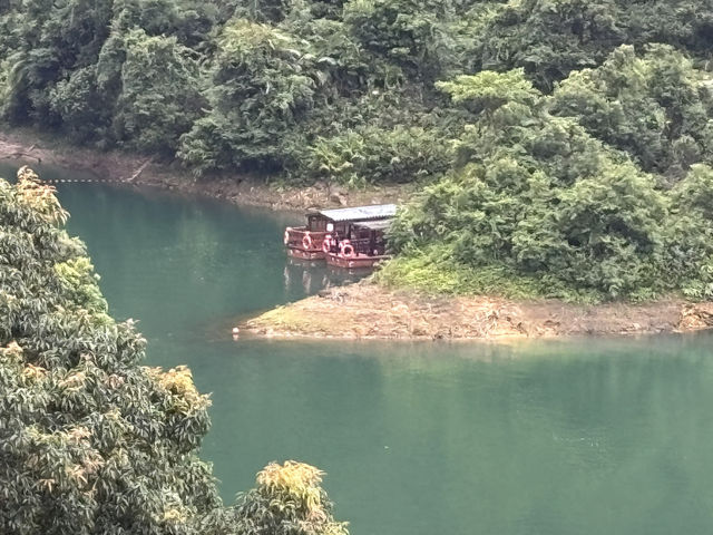 Chillin’ at 鼎湖山: Scenic Vibes & Insta-Worthy Spots 📸🌳