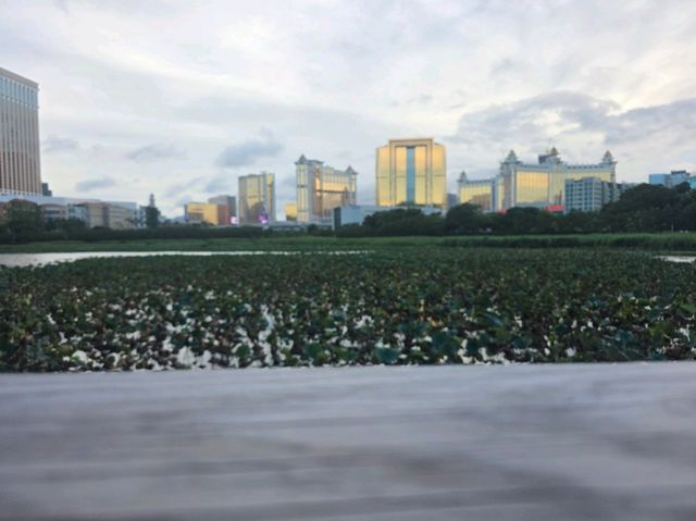 百年葡式菜土生公館 百年葡式菜土生公館