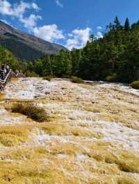 The Valley That Glows with Seasons
