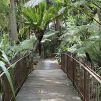 Royal Botanic Gardens Victoria - Melbourne Gardens
