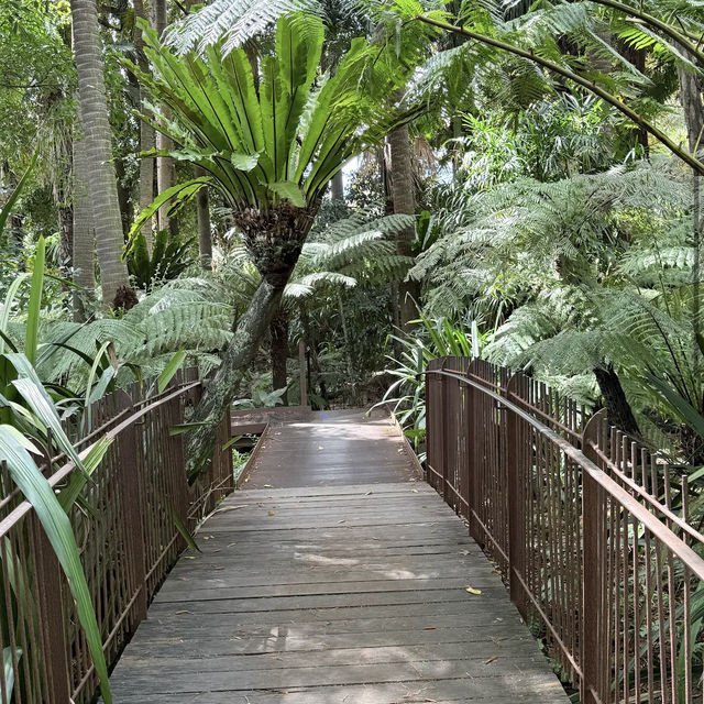 Royal Botanic Gardens Victoria - Melbourne Gardens