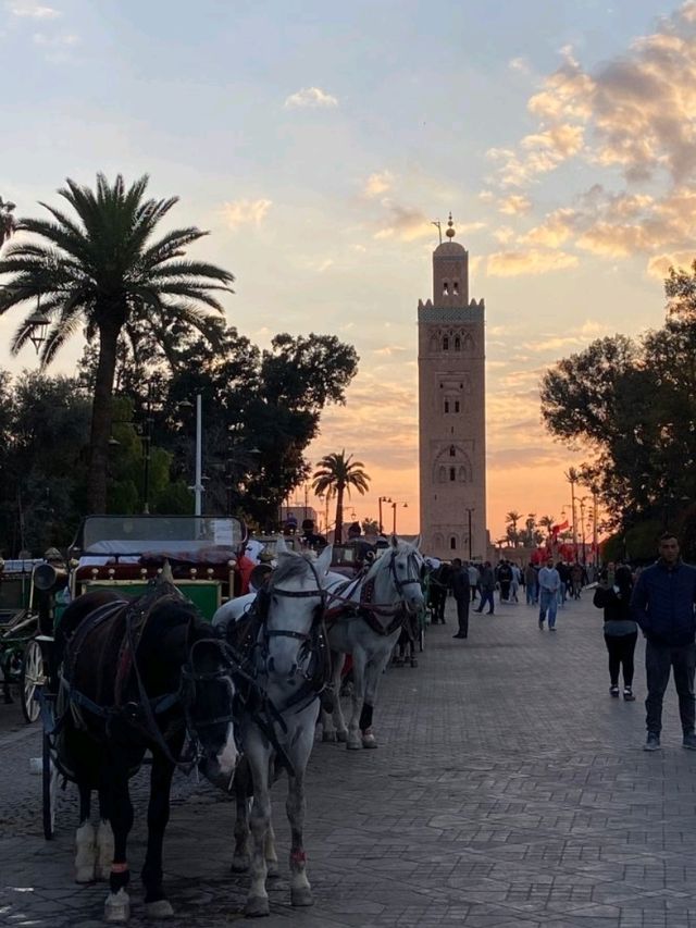 Marveling at Marrakech's Koutobia Mosque! 🕌