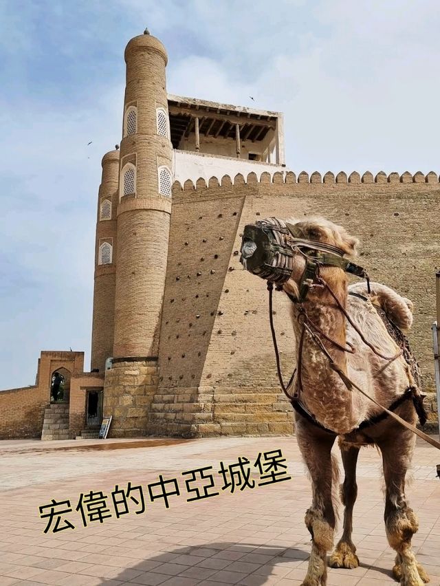 宏偉的中亞城堡