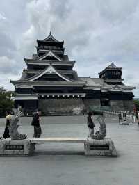 登上熊本城，感受歷史與堅韌留下的城市象徵