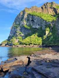 Sun-Kissed Adventures on Jeju Island! ☀️✨