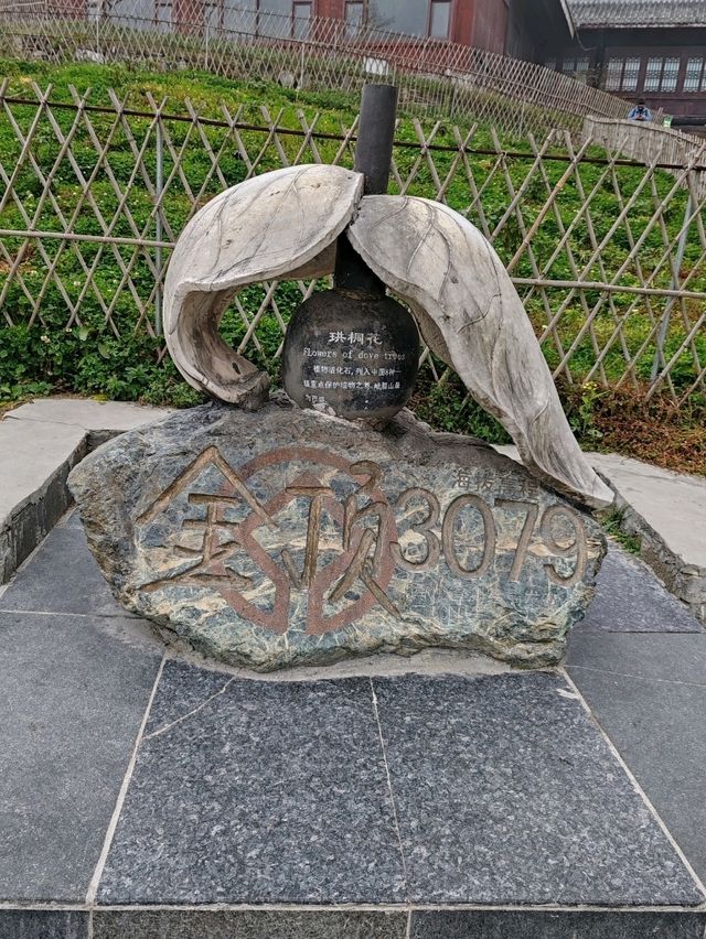At the Summit of Mount Emei: Ever-Changing Weather, the Ups and Downs of Life