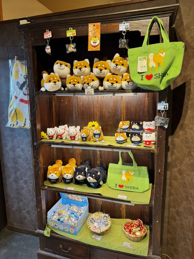 유후인에 가면 꼭 들러야 할 곳! 바로 시바 카페(Shiba Cafe) : 마메시바🐕☕️